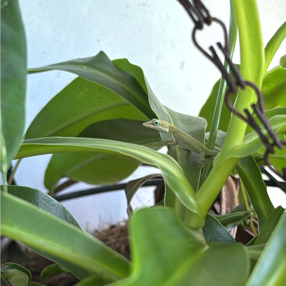 Meet your Posher, Jo